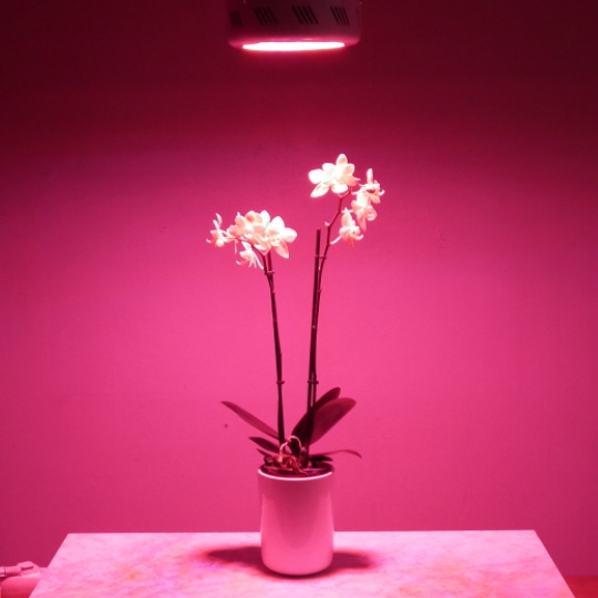 Led Kasvivalo Miniufo 50W 